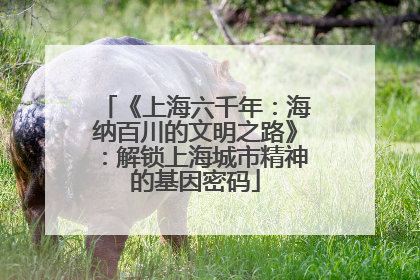 《上海六千年：海纳百川的文明之路》：解锁上海城市精神的基因密码