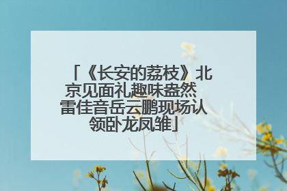 《长安的荔枝》北京见面礼趣味盎然 雷佳音岳云鹏现场认领卧龙凤雏