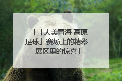 「大美青海 高原足球」赛场上的精彩 展区里的惊喜