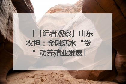 「记者观察」山东农担：金融活水“贷”动养殖业发展