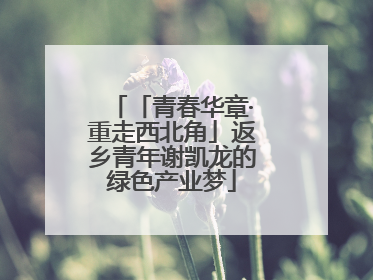 「青春华章·重走西北角」返乡青年谢凯龙的绿色产业梦