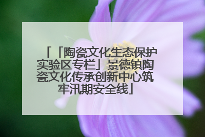 「陶瓷文化生态保护实验区专栏」景德镇陶瓷文化传承创新中心筑牢汛期安全线