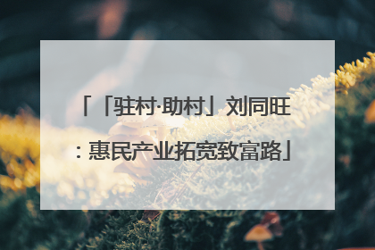 「驻村·助村」刘同旺：惠民产业拓宽致富路