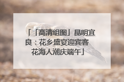 「高清组图」昆明宜良：花乡盛宴迎宾客 花海人潮庆端午