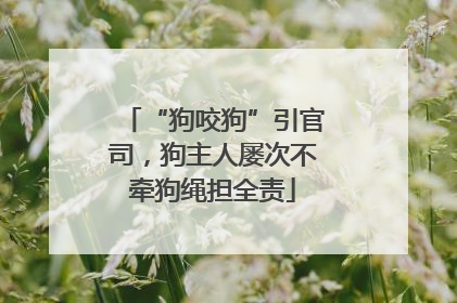 “狗咬狗”引官司，狗主人屡次不牵狗绳担全责