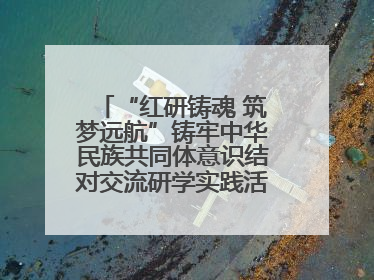 “红研铸魂 筑梦远航”铸牢中华民族共同体意识结对交流研学实践活动开营