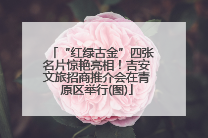 “红绿古金”四张名片惊艳亮相！吉安文旅招商推介会在青原区举行(图)