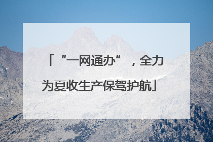 “一网通办”，全力为夏收生产保驾护航