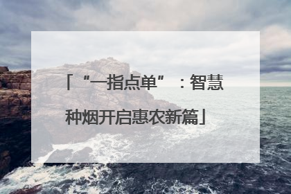 “一指点单”：智慧种烟开启惠农新篇