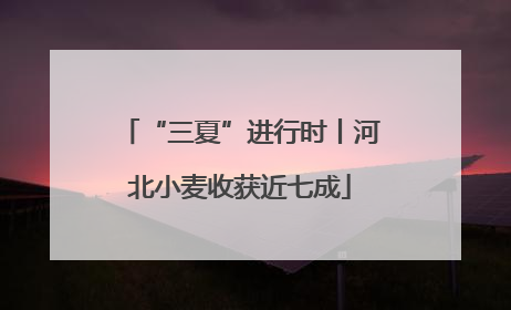 “三夏”进行时丨河北小麦收获近七成