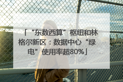“东数西算”枢纽和林格尔新区：数据中心“绿电”使用率超80%