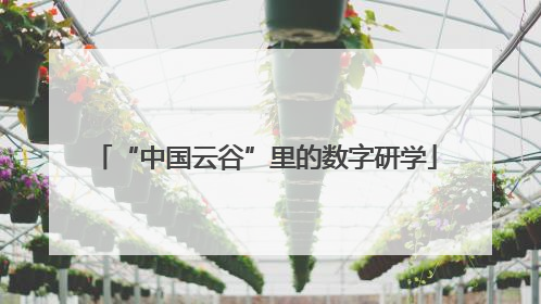 “中国云谷”里的数字研学