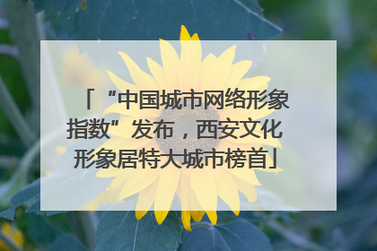 “中国城市网络形象指数”发布，西安文化形象居特大城市榜首