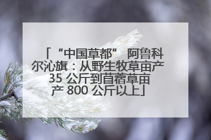 “中国草都” 阿鲁科尔沁旗：从野生牧草亩产 35 公斤到苜蓿草亩产 800 公斤以上