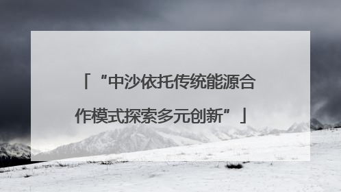 “中沙依托传统能源合作模式探索多元创新”