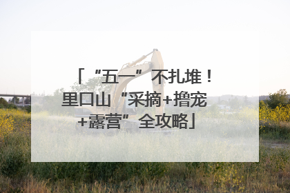 “五一”不扎堆！里口山“采摘+撸宠+露营”全攻略