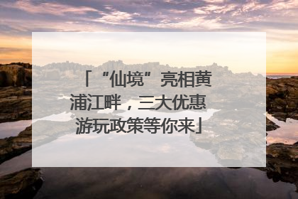 “仙境”亮相黄浦江畔，三大优惠游玩政策等你来