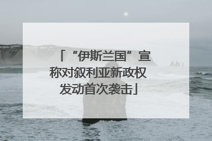 “伊斯兰国”宣称对叙利亚新政权发动首次袭击