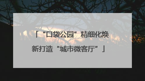 “口袋公园”精细化焕新打造“城市微客厅”