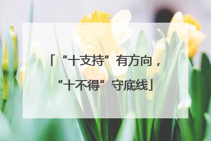 “十支持”有方向，“十不得”守底线