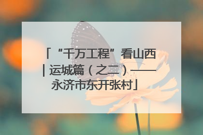 “千万工程”看山西｜运城篇（之二）——永济市东开张村