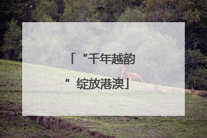 “千年越韵”绽放港澳