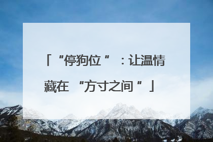 “停狗位 ”：让温情藏在 “方寸之间 ”