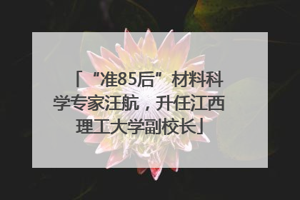 “准85后”材料科学专家汪航，升任江西理工大学副校长