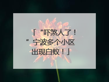 “吓煞人了！”宁波多个小区出现白蚁！