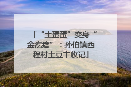 “土蛋蛋”变身“金疙瘩”：孙伯镇西程村土豆丰收记