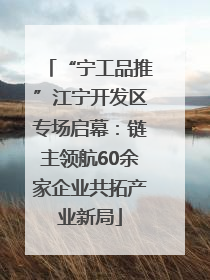 “宁工品推”江宁开发区专场启幕：链主领航60余家企业共拓产业新局
