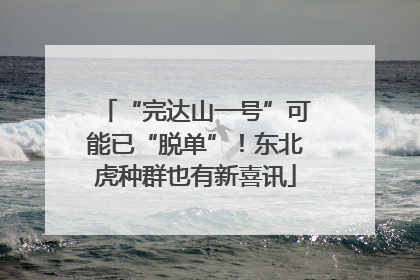 “完达山一号”可能已“脱单”！东北虎种群也有新喜讯