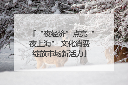 “夜经济”点亮“夜上海” 文化消费绽放市场新活力