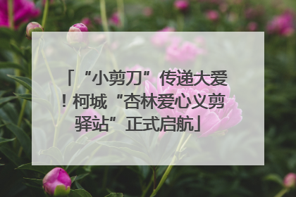 “小剪刀”传递大爱！柯城“杏林爱心义剪驿站”正式启航