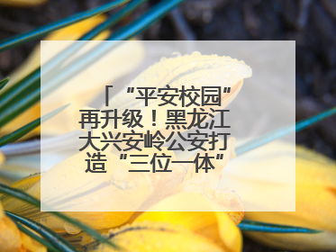 “平安校园”再升级！黑龙江大兴安岭公安打造“三位一体”守护新模式