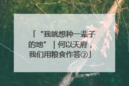 “我就想种一辈子的地”｜何以天府，我们用粮食作答②
