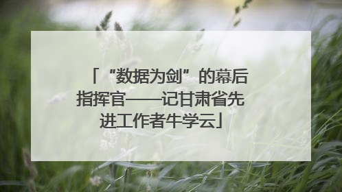 “数据为剑”的幕后指挥官——记甘肃省先进工作者牛学云