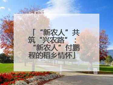 “新农人”共筑“兴农路”：“新农人”付鹏程的稻乡情怀