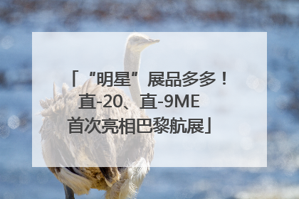 “明星”展品多多！直-20、直-9ME首次亮相巴黎航展