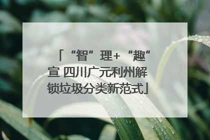 “智”理+“趣”宣 四川广元利州解锁垃圾分类新范式