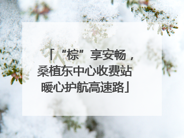 “棕”享安畅，桑植东中心收费站暖心护航高速路