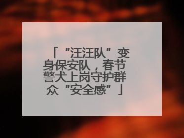 “汪汪队”变身保安队，春节警犬上岗守护群众“安全感”