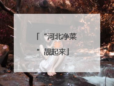 “河北净菜”靓起来