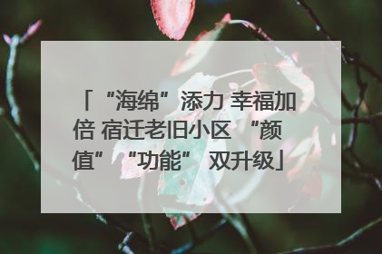 “海绵”添力 幸福加倍 宿迁老旧小区 “颜值”“功能” 双升级