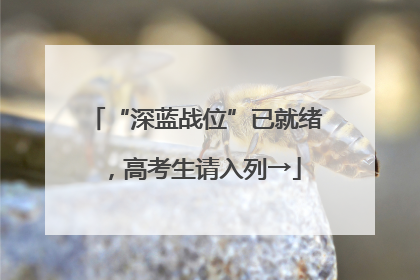 “深蓝战位”已就绪，高考生请入列→