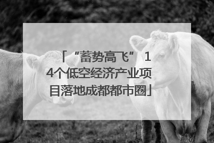 “蓄势高飞” 14个低空经济产业项目落地成都都市圈