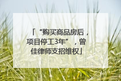 “购买商品房后，项目停工3年”，曾佳律师支招维权