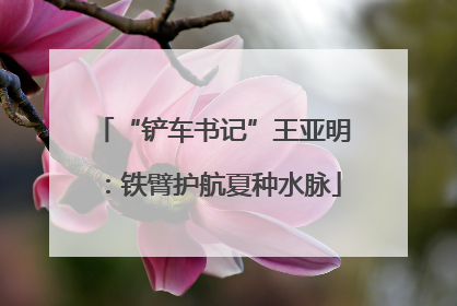“铲车书记”王亚明：铁臂护航夏种水脉