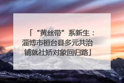 “黄丝带”系新生：淄博市桓台县多元共治铺就社矫对象回归路