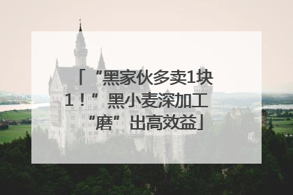 “黑家伙多卖1块1！”黑小麦深加工“磨”出高效益
